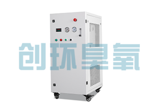 锡林郭勒石斑鱼养殖水质调控完整指南:臭氧发生器配置与操作步骤