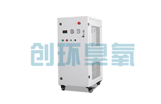 锡林郭勒比传统换水更高效?臭氧发生器在石斑鱼养殖中的水质净化原理解析